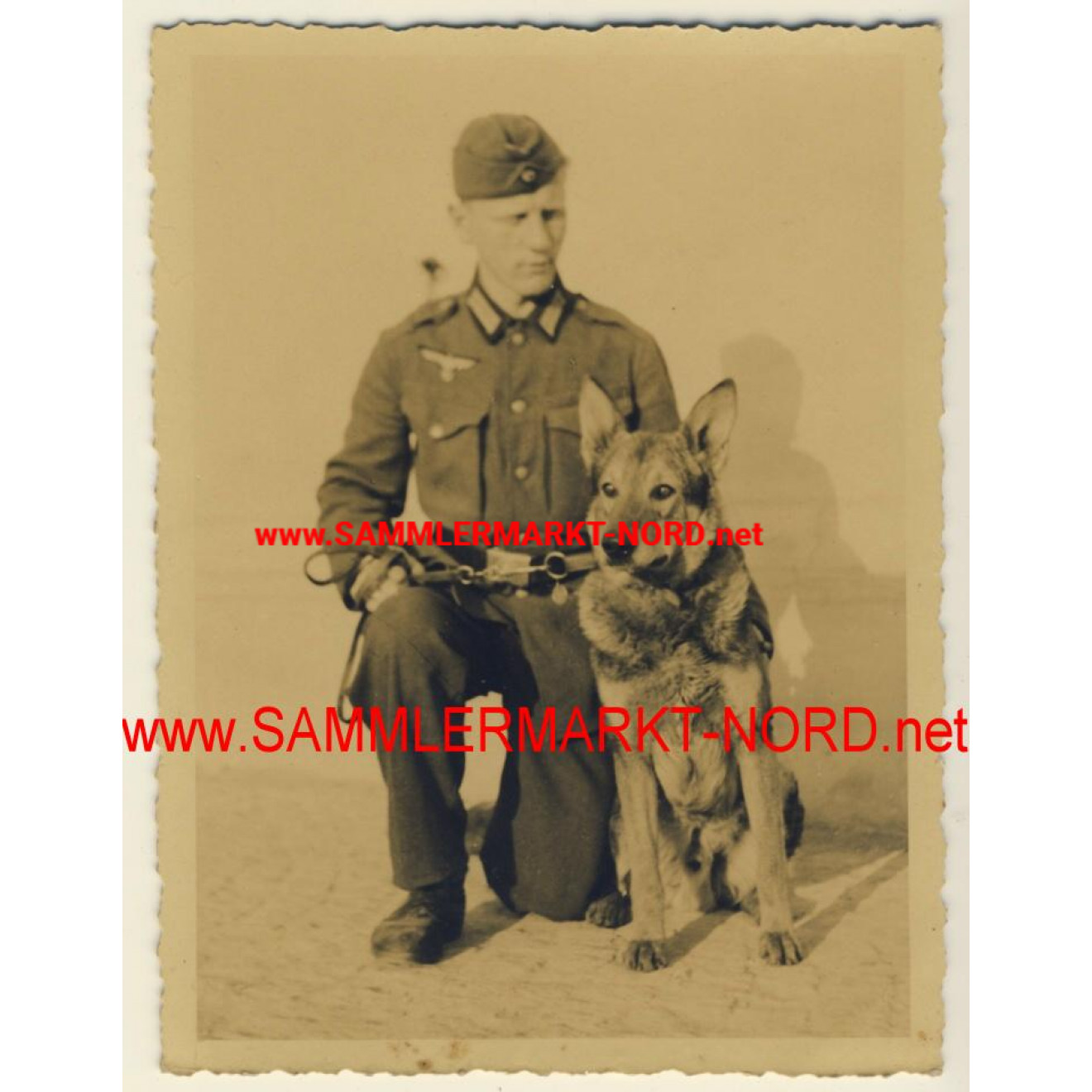 Wehrmacht Hundeführer mit Schäferhund