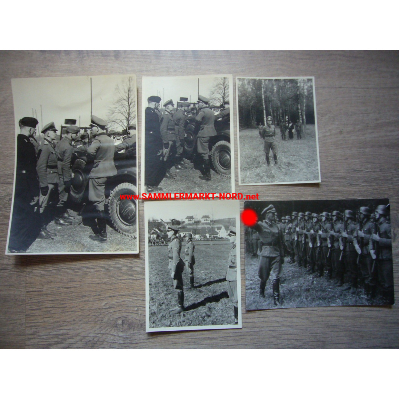 Waffen-SS - Zusammengehöriges Fotokonvolut