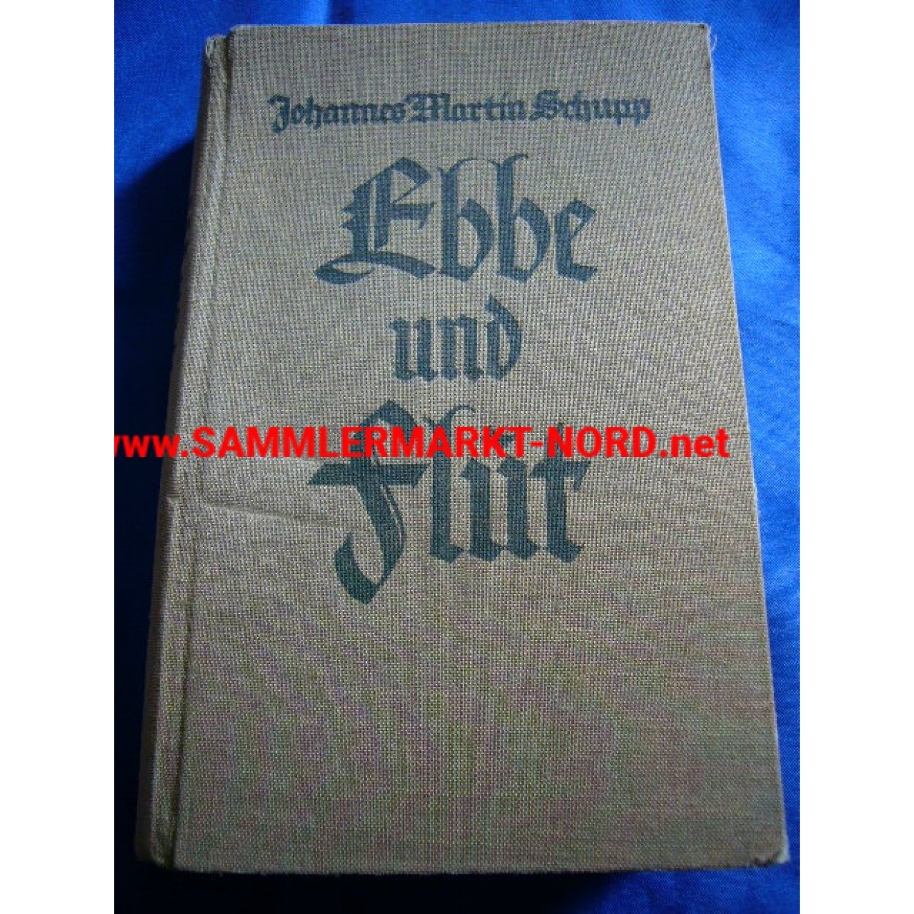 Ebbe und Flut - Ein hansischer Roman deutscher Zeitwende