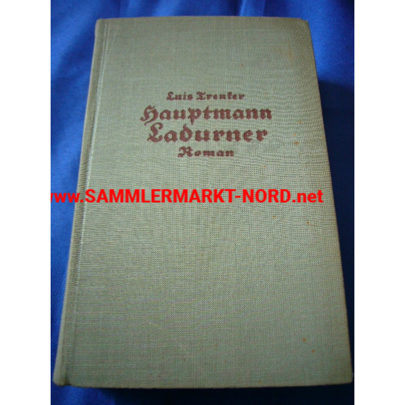 Hauptmann Ladurner - Ein Soldatenroman