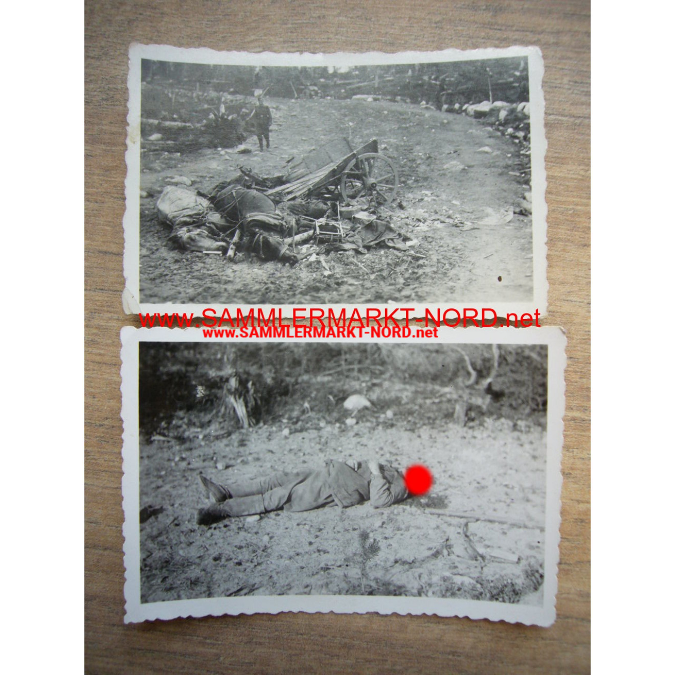 2 x photo of dead horses & dead soldier