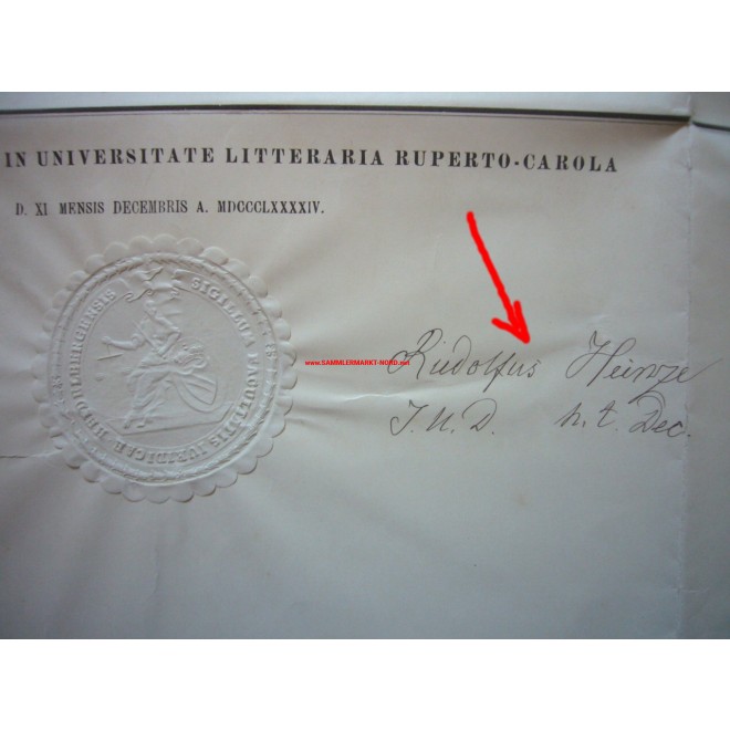 Universität Heidelberg - Doktor Urkunde - Parlamentarier RUDOLF HEINZE ...