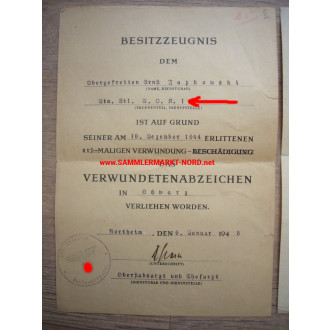 Urkundengruppe - 4./ Sturm-Bataillon AOK 1 - General OTTO VON KNOBELSDORFF - Autograph