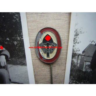 RAD Reich Labour Service membership pin & photos