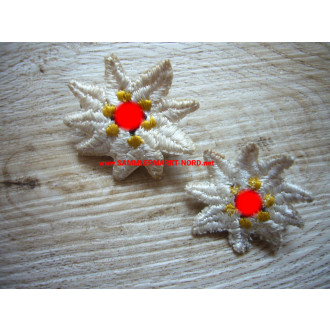 Edelweiss with swastika - cloth badge
