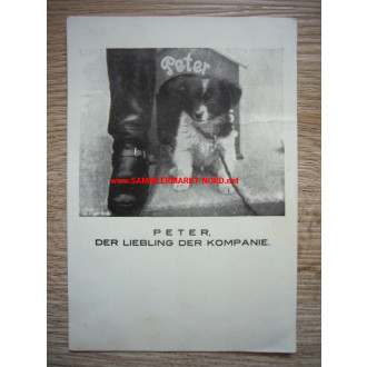 Wehrmacht Postkarte - Kompaniehund Peter