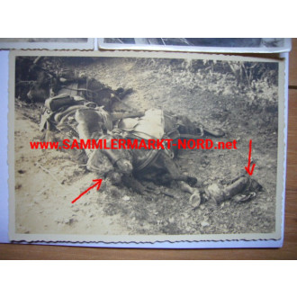 5 x Foto Tote russische Soldaten vor Leningrad