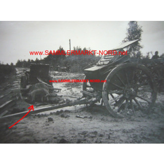 Photo France - Dead horse with ammunition wagons