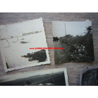5 x photo of dead soldiers & horses